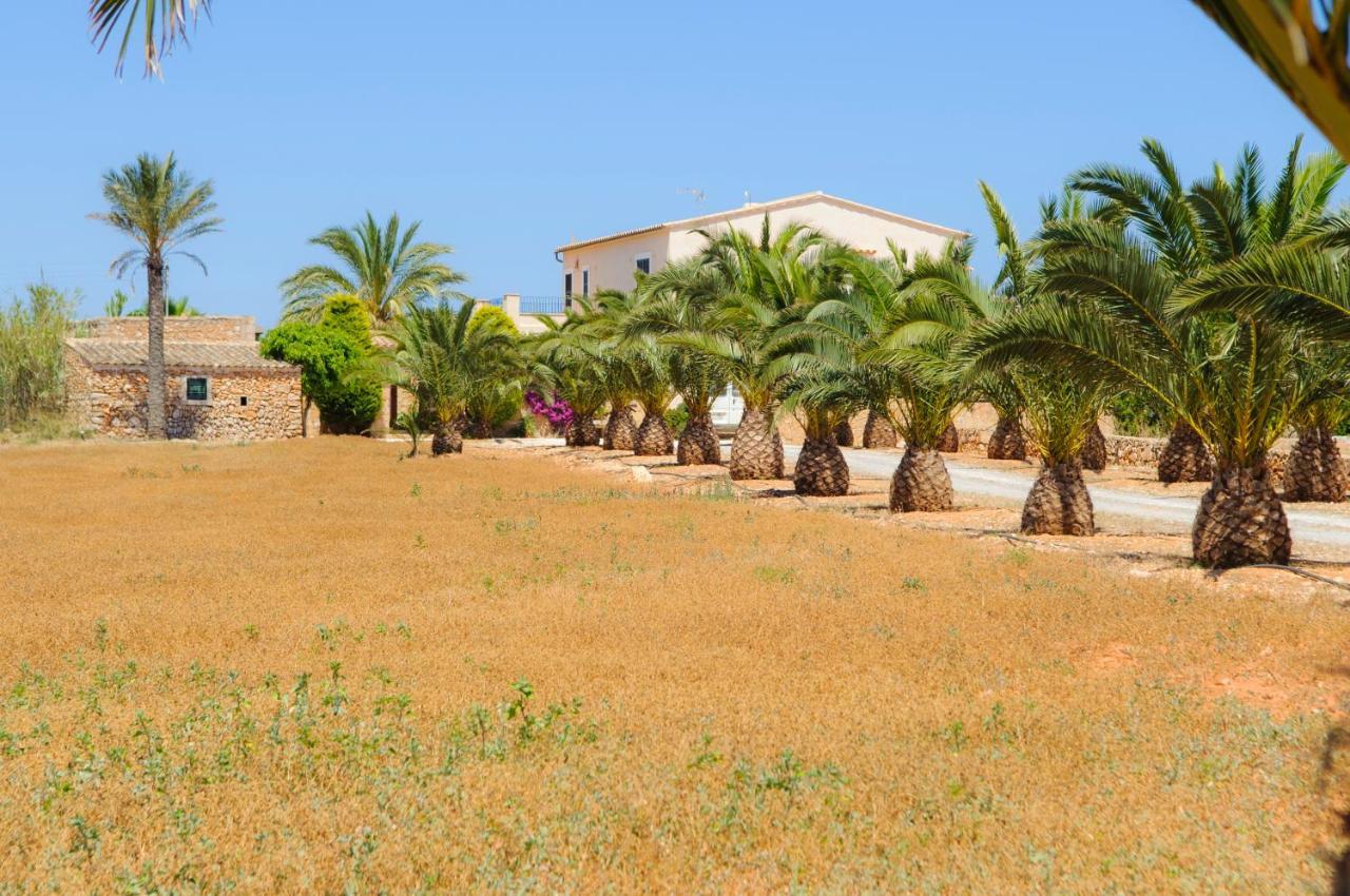 Ferienhaus Hort Veritat